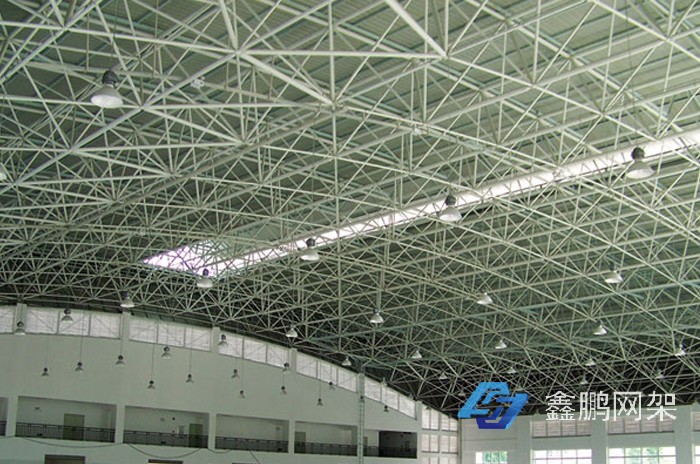 廣東藥學院鐘山分院體育館網(wǎng)架