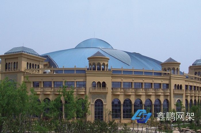 青島海泉灣網架工程